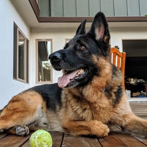 Meet your Posher, Timothy